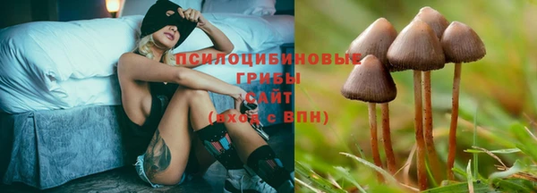мяу мяу мука Кондопога