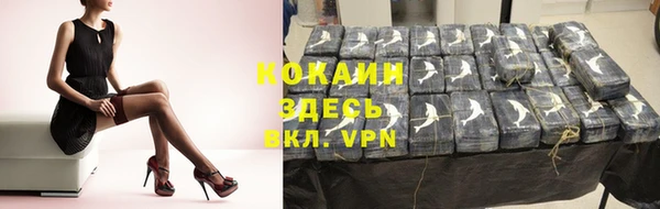 spice Няндома