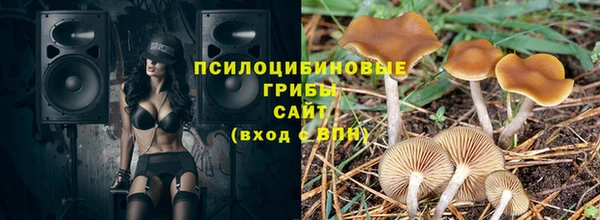 spice Няндома